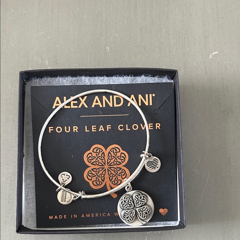 Alex and Ani Silver Charm Bracelet